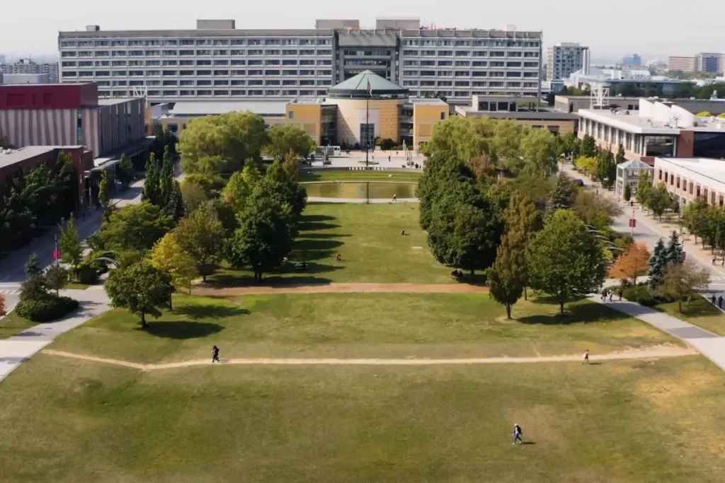 York University International Student Scholarships 2025, Canada